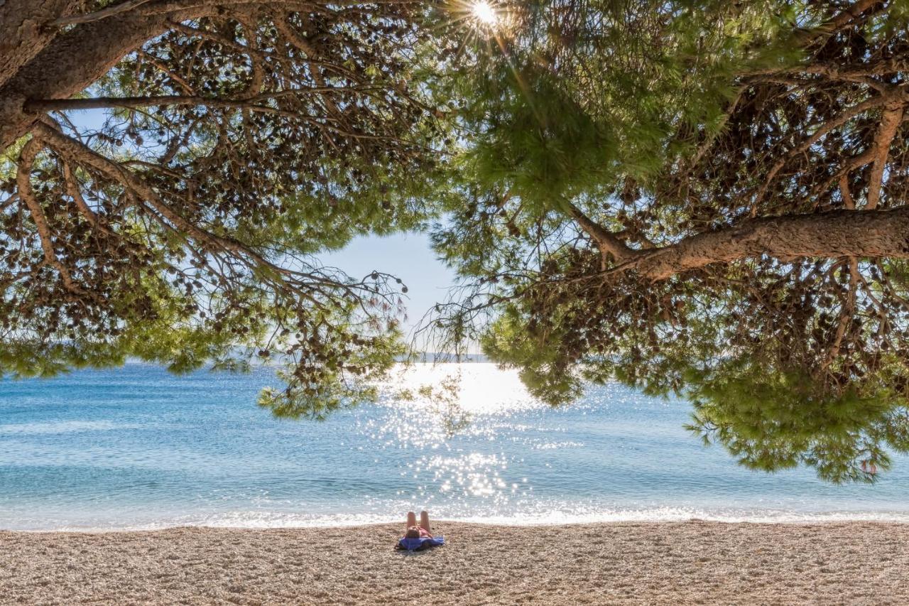 Bluesun hotel Neptun - All inclusive Tučepi Esterno foto